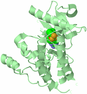 Image Biological Unit 2
