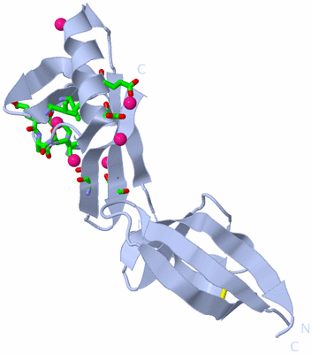 Image Biol. Unit 1 - sites