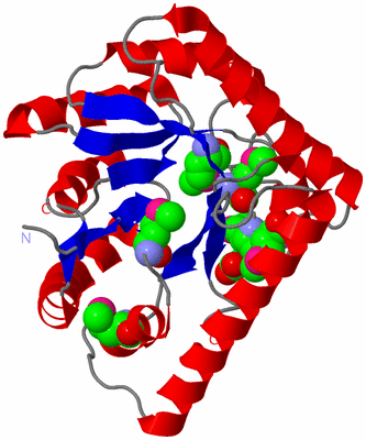 Image Asym./Biol. Unit