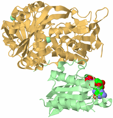 Image Asym./Biol. Unit