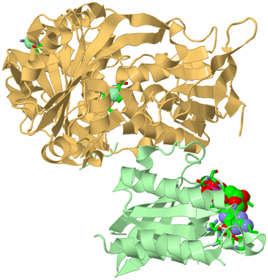 Image Asym./Biol. Unit - sites