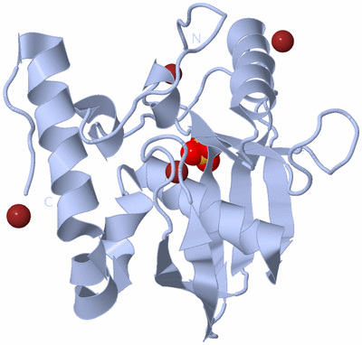 Image Biological Unit 1