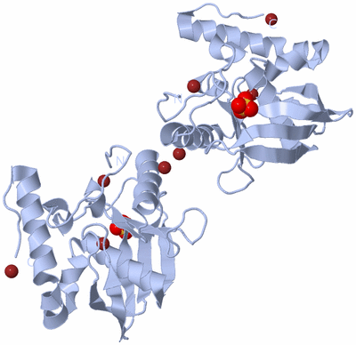 Image Biological Unit 2