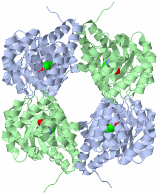 Image Biological Unit 1