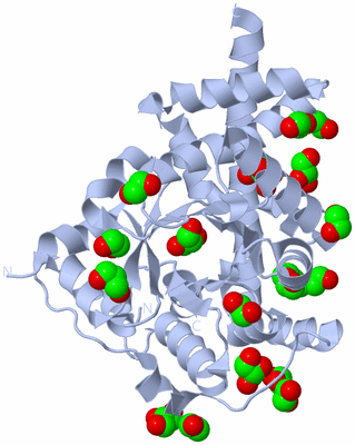 Image Biological Unit 2