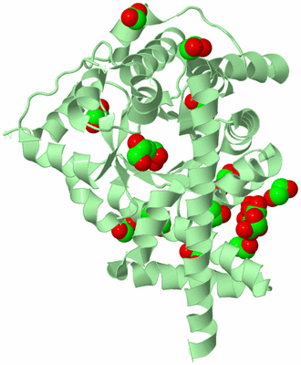 Image Biological Unit 3