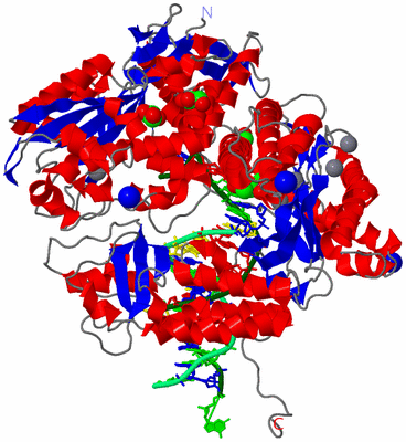 Image Asym./Biol. Unit