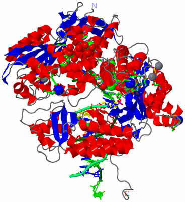 Image Asym./Biol. Unit - sites