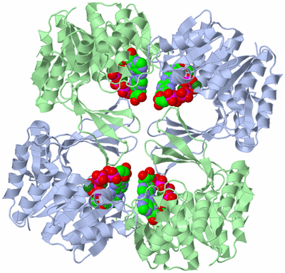 Image Biological Unit 1