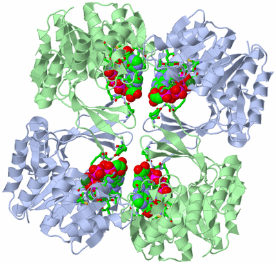 Image Biol. Unit 1 - sites