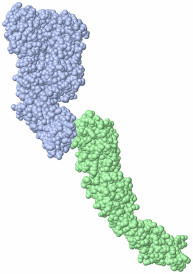 Image Asymmetric Unit