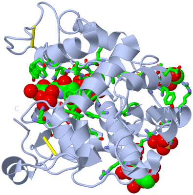 Image Biol. Unit 1 - sites