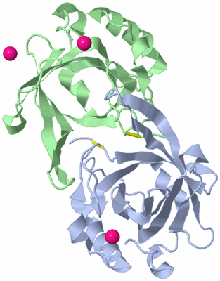 Image Biological Unit 1