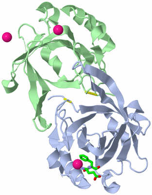 Image Biol. Unit 1 - sites