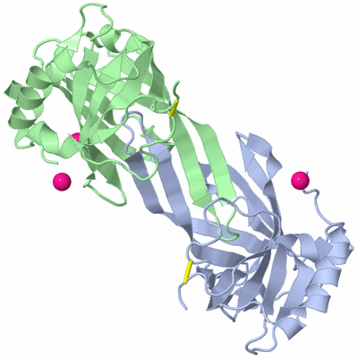 Image Biological Unit 2