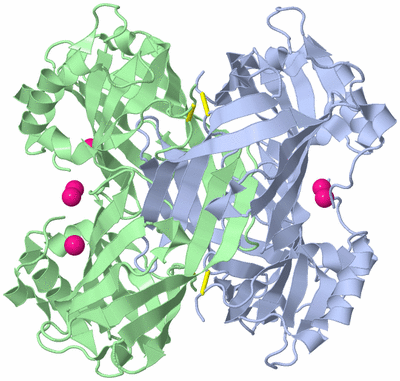 Image Biological Unit 3