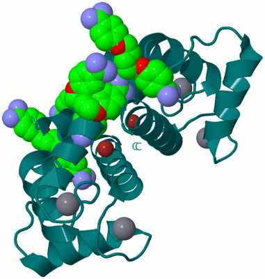 Image Biological Unit 1