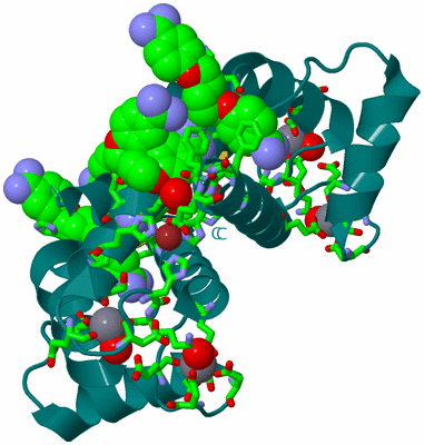 Image Biol. Unit 1 - sites