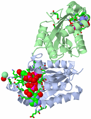 Image Biol. Unit 1 - sites