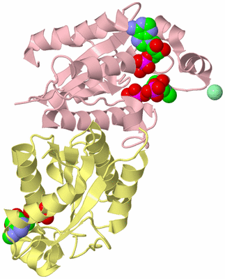 Image Biological Unit 2