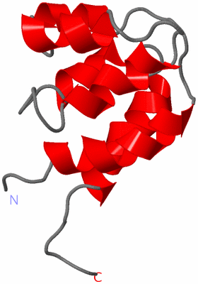 Image NMR Structure - model 1