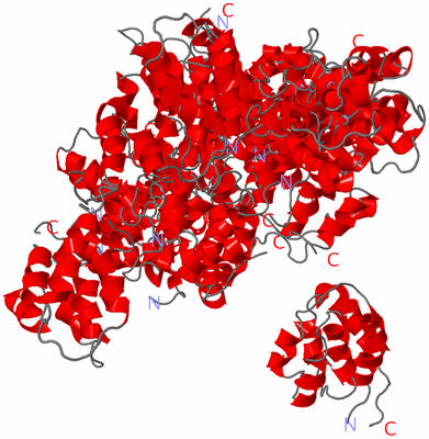 Image NMR Structure - all models