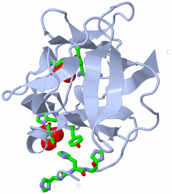 Image Biol. Unit 1 - sites