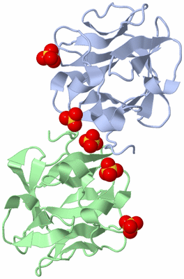 Image Biological Unit 3