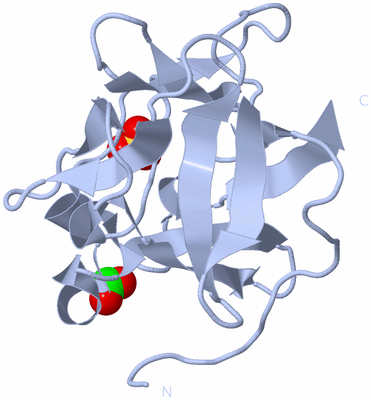 Image Biological Unit 1