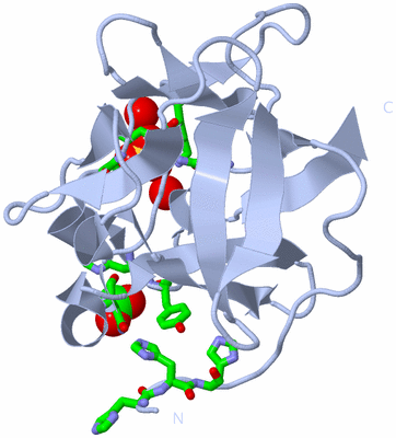 Image Biol. Unit 1 - sites