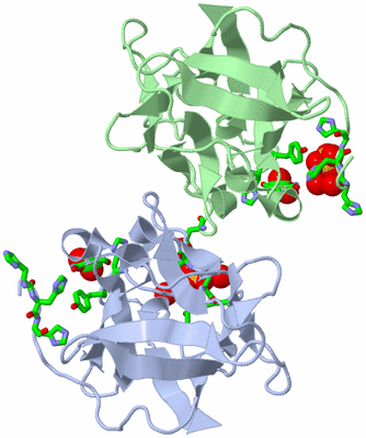 Image Asym. Unit - sites