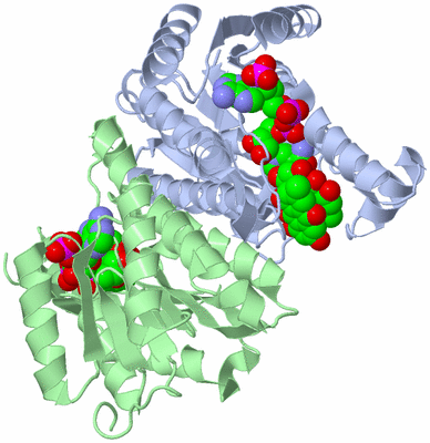 Image Biological Unit 2