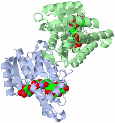 Image Biological Unit 3