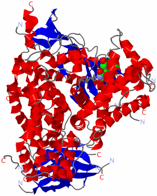 Image Asym./Biol. Unit