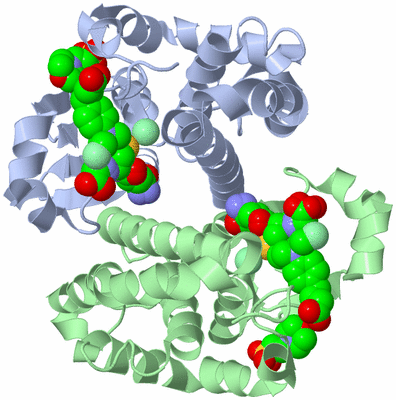 Image Asym./Biol. Unit