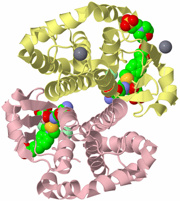 Image Biological Unit 1