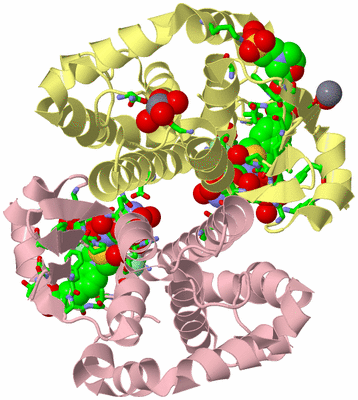 Image Biol. Unit 1 - sites