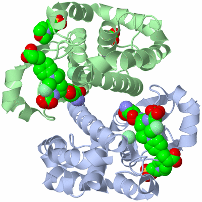 Image Biological Unit 2