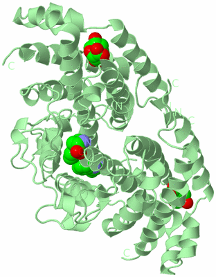 Image Biological Unit 3