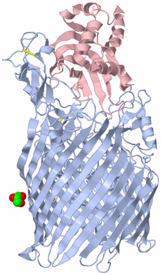 Image Biological Unit 1