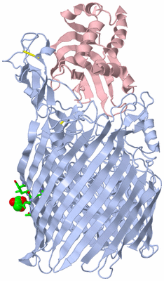 Image Biol. Unit 1 - sites