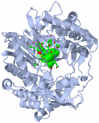 Image Biol. Unit 1 - sites