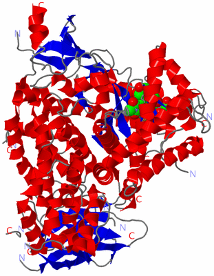 Image Asym./Biol. Unit