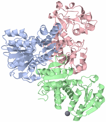 Image Asym./Biol. Unit