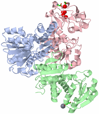 Image Asym./Biol. Unit - sites