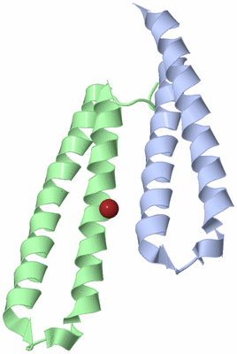 Image Asymmetric Unit