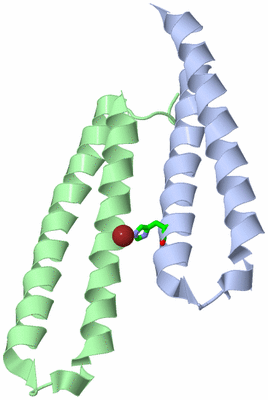 Image Asym. Unit - sites