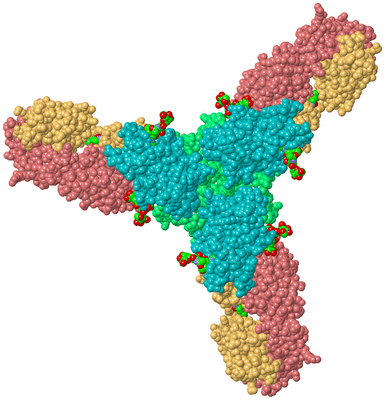 Image Biological Unit 2