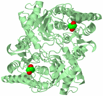 Image Biological Unit 2