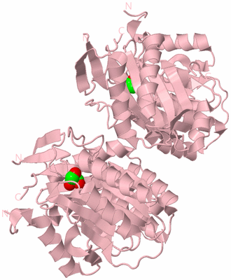 Image Biological Unit 3